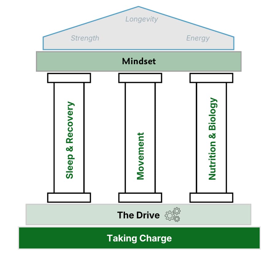 Health by Habit — The Six Moves framework