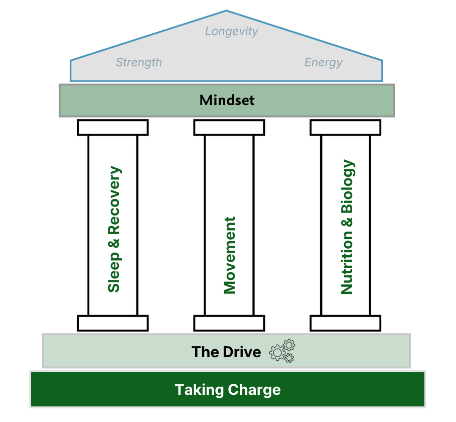 The Six Moves — Health by Habit framework